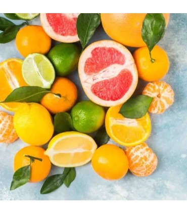 104 -  Recuerda a Mandarino di Amalfi Tom Ford