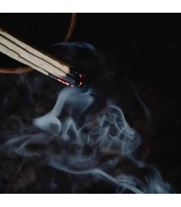 107 -  Recuerda a Tobacco Vanille de Tom Ford