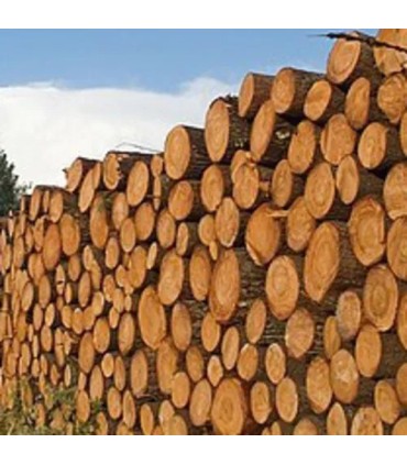 114 - Recuerda a Oud Wood de Tom Ford