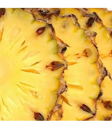 502 - Recuerda a Aventus de Creed