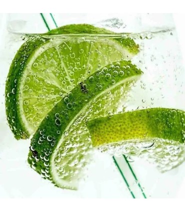 504 - Recuerda a  Virgind Island Water de Creed