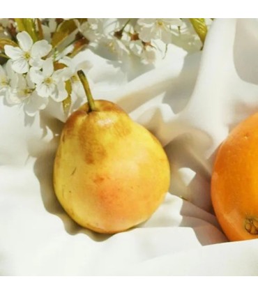 Recuerda a Coeur Battant de Louis Vuitton | Perfume inspirado 100ml