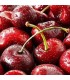 110 -  CHERRY - Inspirado en Lost Cherry de Tom Ford