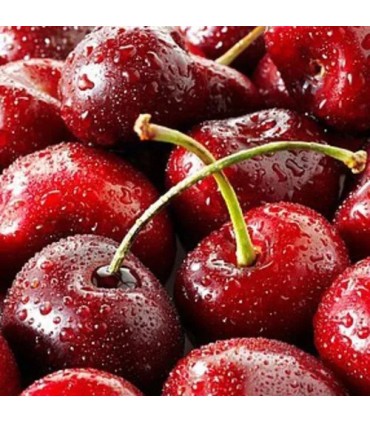 110 -  CHERRY - Inspirado en Lost Cherry de Tom Ford