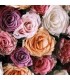 201 - ROSMUS - Inspirado en  Intense Roses Musk de Montale