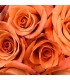301 - ROSA - Inspirado en Velvet Rose & Oud de Jo Malone