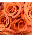 301 - ROSA - Inspirado en Velvet Rose & Oud de Jo Malone