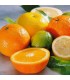 302 -LIMA - Inspirado en Lime Basil & Mandarin de Jo Malone