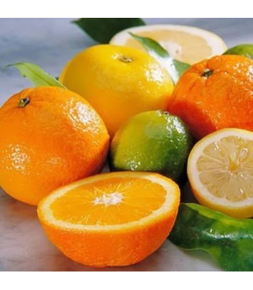 302 -LIMA - Inspirado en Lime Basil & Mandarin de Jo Malone