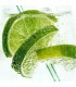 504 - ISLAND - Inspirado en   Virgind Island Water de Creed