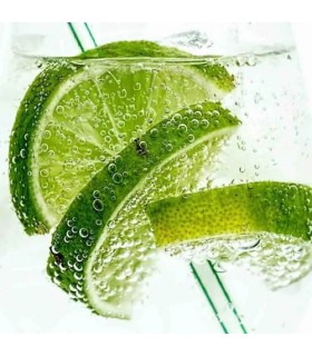 504 - ISLAND - Inspirado en   Virgind Island Water de Creed