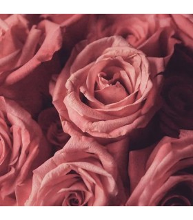 802 - DELEX - Inspirado en Delina Exclusif  Parfums de Marly