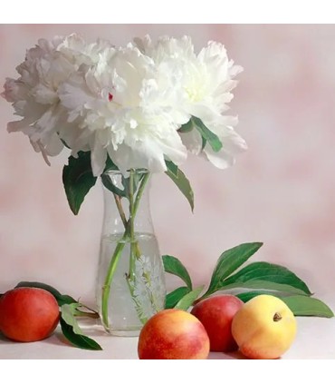 212 - AZAHAR - Inspirado en Holy Neroli de Montale
