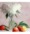 212 - AZAHAR - Inspirado en Holy Neroli de Montale