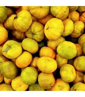 1509 - SWEET - Inspirado en Dolce Amalfi de Xerjoff