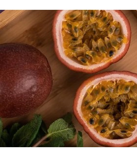 1511 - SABBATH - Inspirado en Tony Iommi Monkey Special de Xerjoff