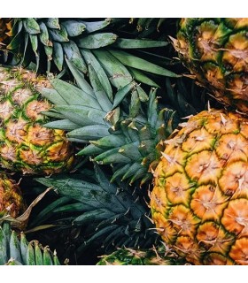 2201 - MARAL - Inspirado en  Lamar de Kajal