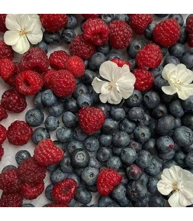 3101 - BICHOTA - Inspirado en Bleecker Street Bond No 9