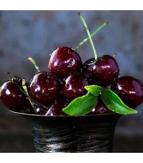 3401 -  CERES - Inspirado en   Rouge Smoking de BDK Parfums