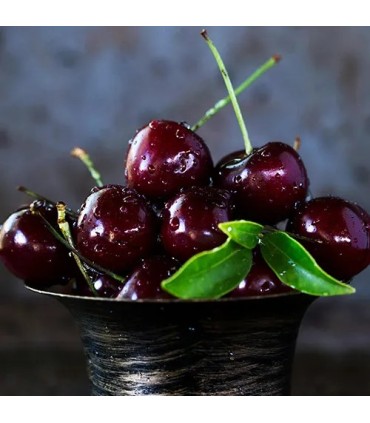 3401 -  CERES - Inspirado en   Rouge Smoking de BDK Parfums